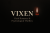 Dark romance and psychological thriller author VIXEN — minimalist black cover with candle and bold serif typography